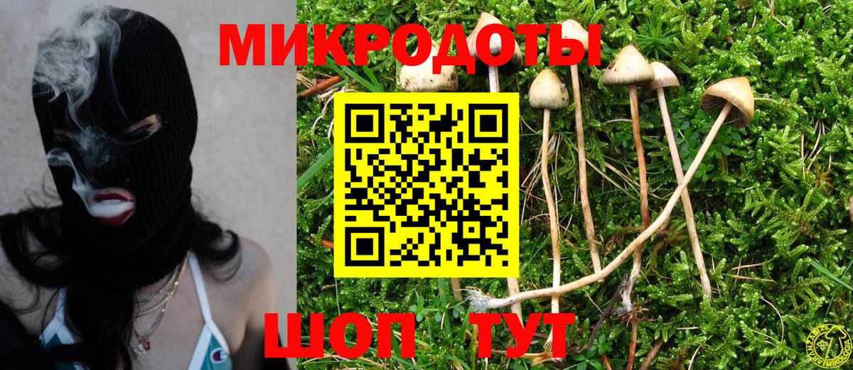 Кольчугино  Галлюциногенные грибы MAGIC MUSHROOMS  Псилоцибиновые грибы MAGIC MUSHROOMS  Вход с VPN 