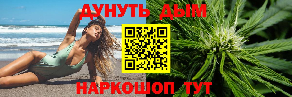 Конопля семена Кольчугино
